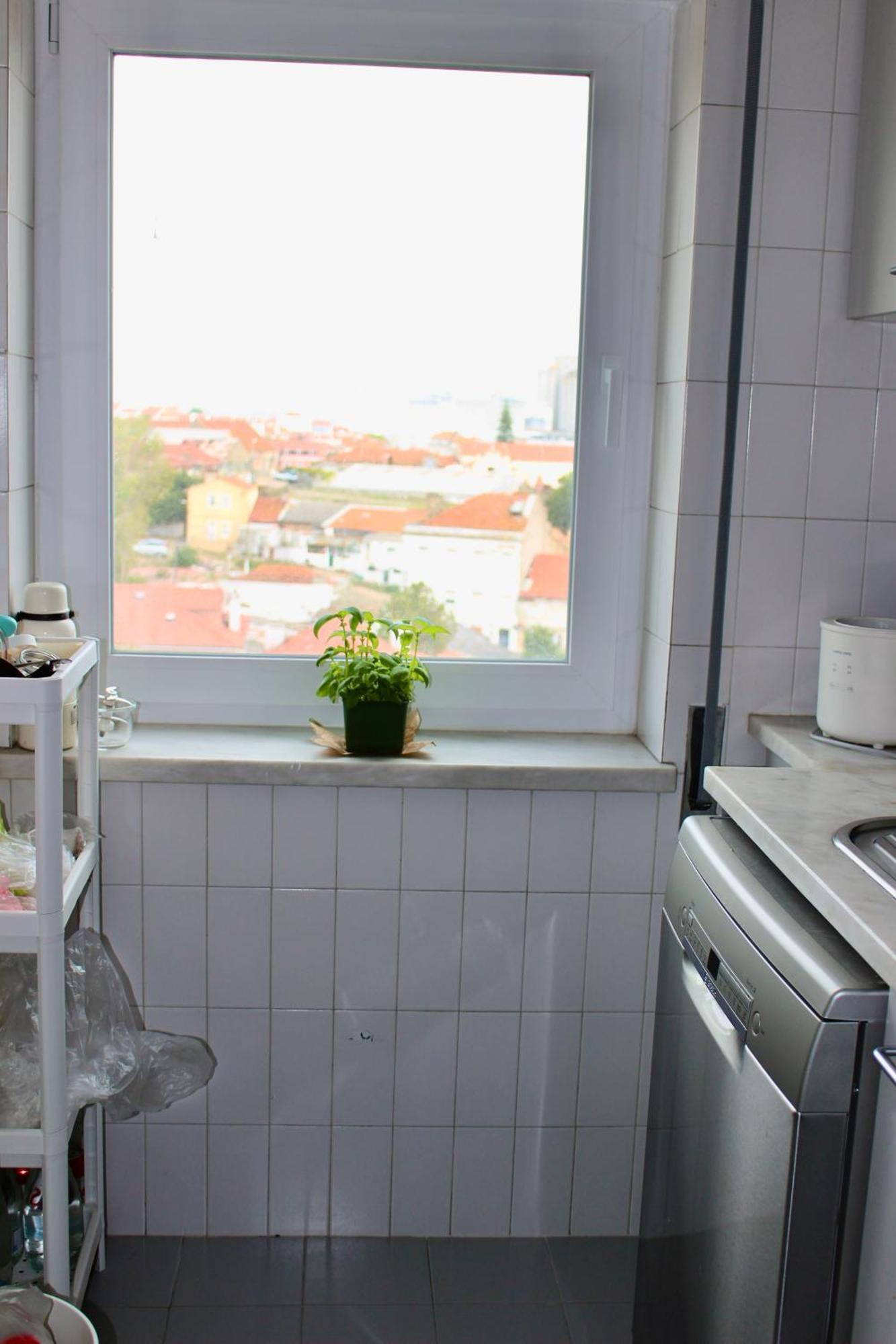 Modern With River Views, Sunrise & Friendly Cats Privat bolig *